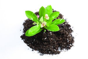 企业如何选择适合自己的库存优化方案
